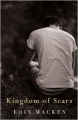 Couverture Kingdom of Scars Editions Poolbeg Press 2014