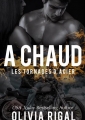 Couverture Les tornades d'acier, tome 4 : A chaud Editions Lady O Publishing 2014