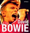Couverture David Bowie Editions Place des Victoires 2011