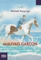 Couverture Mauvais Garçon Editions Folio  (Junior) 2015
