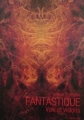 Couverture Fantastique : Voix et visions Editions Le Diable Ermite 2011