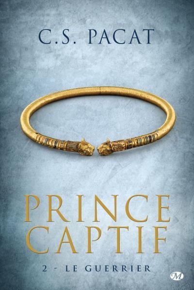 Couverture Prince captif, tome 2 : Le guerrier