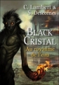 Couverture Black Cristal, tome 2 : Au royaume Editions Pocket (Jeunesse) 2010
