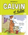 Couverture Calvin et Hobbes, tome 24 : Cette fois, c'est fini ! Editions Hors collection 2014