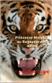 Couverture Princesse Melybel au Royaume des Elfes, tome 1 : L'héritage du tigre Editions Autoédité 2013