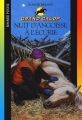 Couverture Nuit d'angoisse à l'écurie Editions Bayard (Poche) 2003