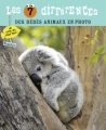 Couverture Les 7 différences des bébés animaux en photo Editions Tourbillon 2015