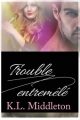 Couverture Entremêlé, tome 2 : Trouble entremêlé Editions Babelcube Inc. 2015