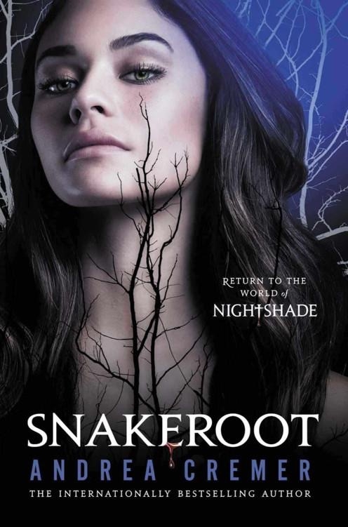Couverture Nightshade, tome 4