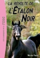 Couverture L'étalon noir, tome 09 : La révolte de l'Etalon Noir Editions Hachette (Les classiques de la rose) 2011