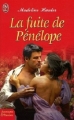 Couverture La fuite de Pénélope Editions J'ai Lu (Pour elle - Aventures & passions) 2005