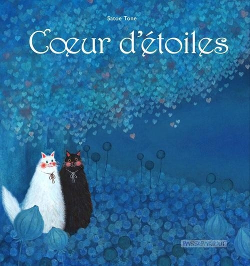 Couverture Coeur d'étoiles