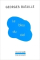 Couverture Le bleu du ciel Editions Gallimard  (L'imaginaire) 2013