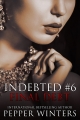 Couverture Indebted, book 6: Final Debt Editions Autoédité 2015