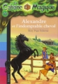 Couverture Alexandre et l'indomptable cheval Editions Bayard (Poche) 2014