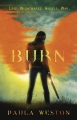 Couverture The Rephaim, book 4: Burn Editions Orion Books (Children' s Book) 2015