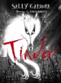 Couverture Tinder Editions Orion Books (Children' s Book) 2015
