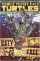 Couverture Teenage Mutant Ninja Turtles, book 06: City Fall, Part 1 Editions IDW Publishing 2013