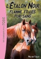 Couverture L'étalon noir, tome 07 : Flamme et les pur-sang Editions Hachette (Les classiques de la rose) 2013