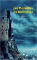 Couverture Les murailles de Gandarès Editions Numeriklivres 2014