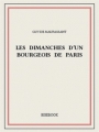 Couverture Les Dimanches d'un bourgeois de Paris Editions Bibebook 2015