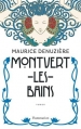 Couverture Montvert-les-Bains Editions Flammarion 2016