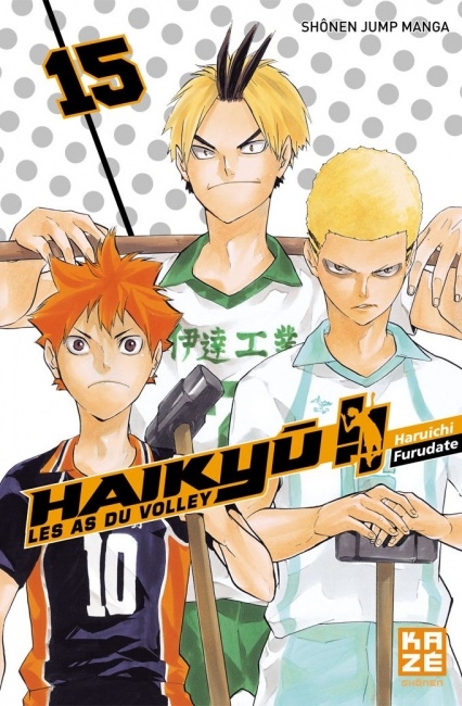 Couverture Haikyû !! : Les as du volley ball, tome 15