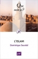 Couverture Que sais-je ? : L'Islam Editions Presses universitaires de France (PUF) (Que sais-je ?) 2009