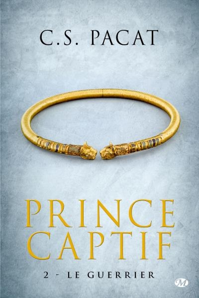 Couverture Prince captif, tome 2 : Le guerrier