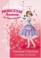 Couverture Princesse Academy : Les Tours d'Argent, tome 1 : Princesse Charlotte et la Rose Enchantée Editions Hachette (Bibliothèque Rose) 2007