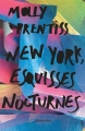 Couverture New York esquisses nocturnes / Un mardi soir à New York Editions Calmann-Lévy (Littérature étrangère) 2016