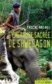 Couverture L'émeraude sacrée de Shwedagon Editions Actes Sud 2013
