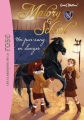 Couverture Malory school, tome 3 : Un cheval à Malory school / Un pur-sang en danger Editions Hachette (Les classiques de la rose) 2013