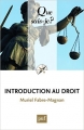 Couverture Que sais-je ? : Introduction au droit Editions Presses universitaires de France (PUF) (Que sais-je ?) 2014