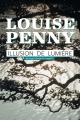 Couverture Illusion de lumière / Une illusion d'optique Editions Flammarion Québec 2013