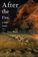 Couverture Après le feu, un murmure doux et léger Editions Pantheon Books 2009