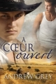 Couverture Histoire de coeur, tome 3 : A coeur ouvert Editions Dreamspinner Press 2016