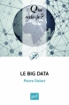 Couverture Que sais-je ? : Le big data Editions Presses universitaires de France (PUF) (Que sais-je ?) 2015