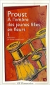Couverture À l'ombre des jeunes filles en fleurs, tome 1 Editions Flammarion (Littérature française) 1993