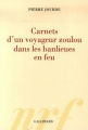 Couverture Carnets d'un voyageur zoulou dans les banlieues en feu Editions Gallimard  (Hors série Connaissance) 2007