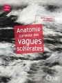 Couverture Anatomie curieuse des vagues scélérates Editions Quae 2015