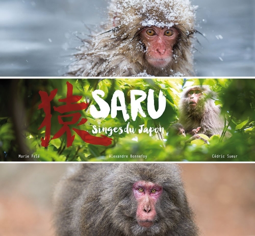 Couverture Saru : Singes du Japon