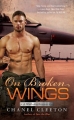 Couverture Wild Aces, book 3: On Broken Wings Editions Berkley Books 2017