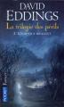Couverture La Trilogie des Périls, tome 2 : Ceux-qui-brillent Editions Pocket (Fantasy) 2008