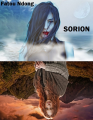 Couverture Sorion Editions Autoédité 2017