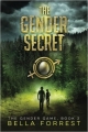 Couverture The Gender Game, book 2: The Gender Secret Editions Autoédité 2016