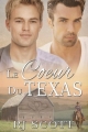 Couverture Le coeur du Texas, tome 1 Editions Men over the rainbow 2017
