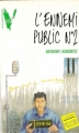 Couverture Les frères Diamant, tome 2 : L'ennemi public n°2 Editions Hachette (Aventure verte) 1990