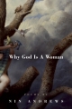 Couverture Pourquoi Dieu est une Femme Editions Autoédité 2015