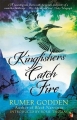 Couverture Kingfishers Catch Fire Editions Virago Press 2013